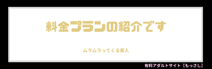 料金プランの紹介