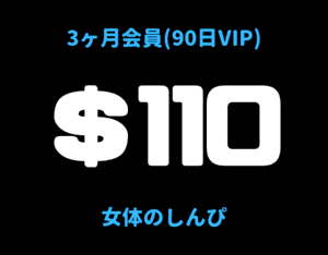 3ヶ月会員VIP